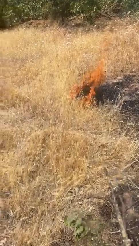 Bingöl’de orman yangını kontrol altında