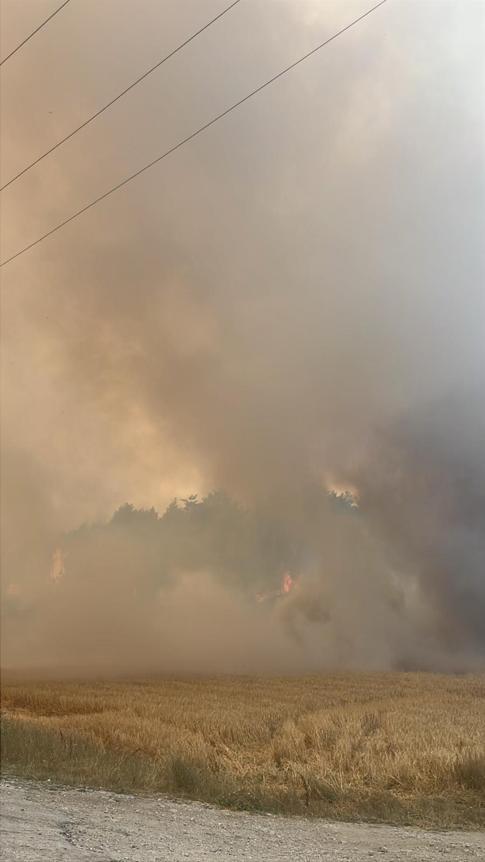Boluda tarım arazisinde çıkıp ormana sıçrayan yangın kontrol altına alındı