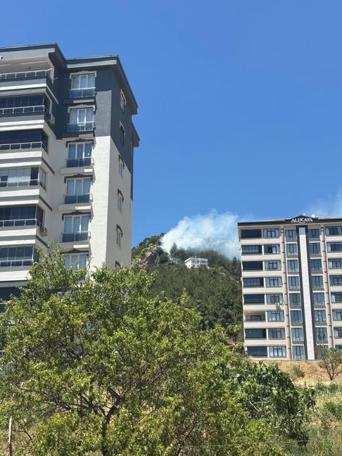 Kahramanmaraş’ta orman yangını söndürüldü