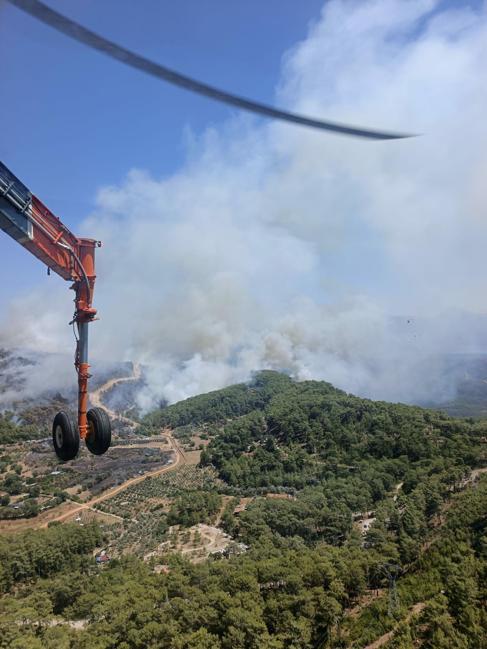 Muğlada orman yangını