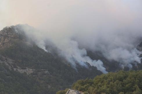 Denizlide orman yangını 3üncü gününde