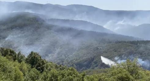 Kocaelide orman yangını kontrol altında; dronla görüntülendi