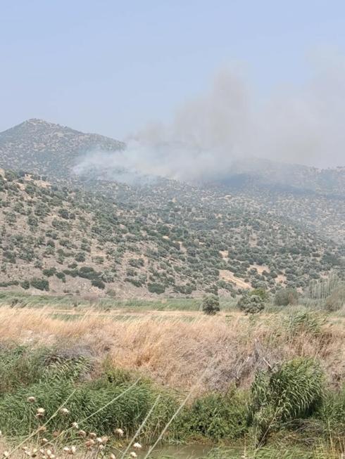 Aydının Bozdoğanda maki yangını