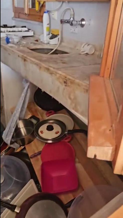 Aç kalan ayılar, belediye başkanının yayla evine girdi