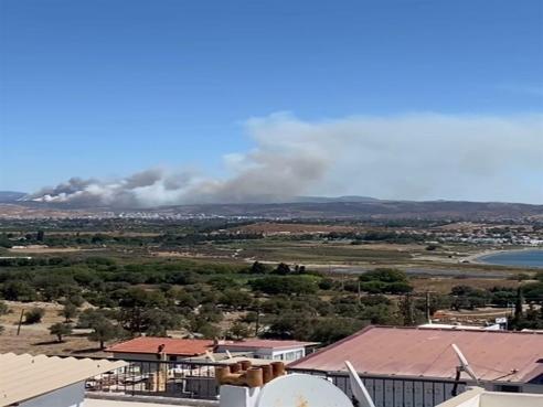 İzmirde orman yangını kontrol altında