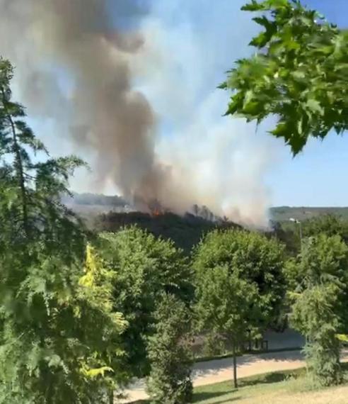 Sultangazi Kent Ormanındaki yangın kontrol altına alındı