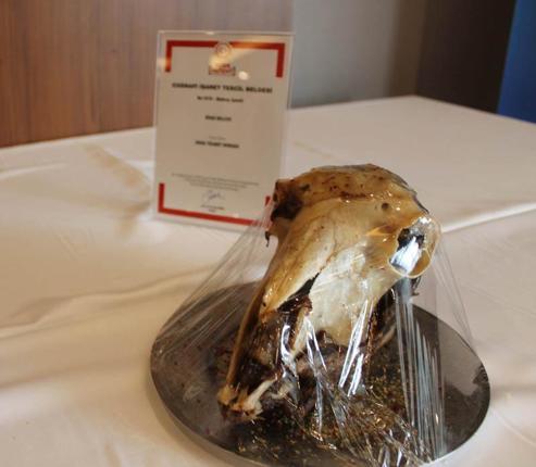 Sivas Kellesine tescil belgesi verildi