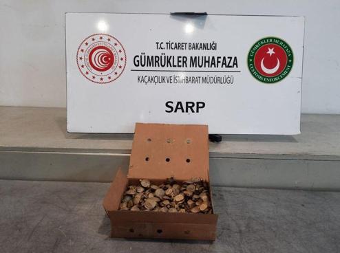 Sarp Sınır Kapısında, 250 istilacı su kaplumbağası ele geçirildi