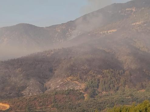Hataydaki orman yangını ikinci gününde; havadan müdahale başladı
