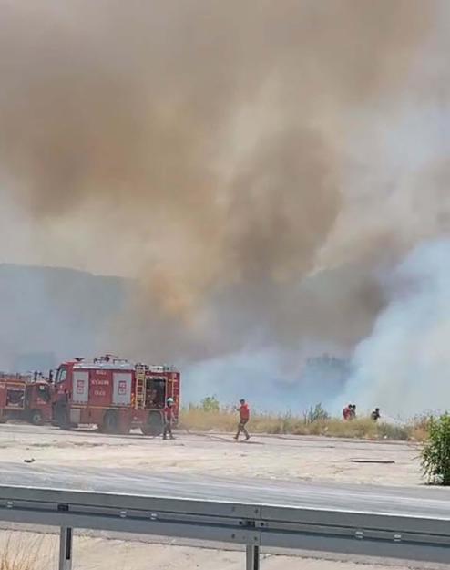 Muğlada tarım arazisinde yangın