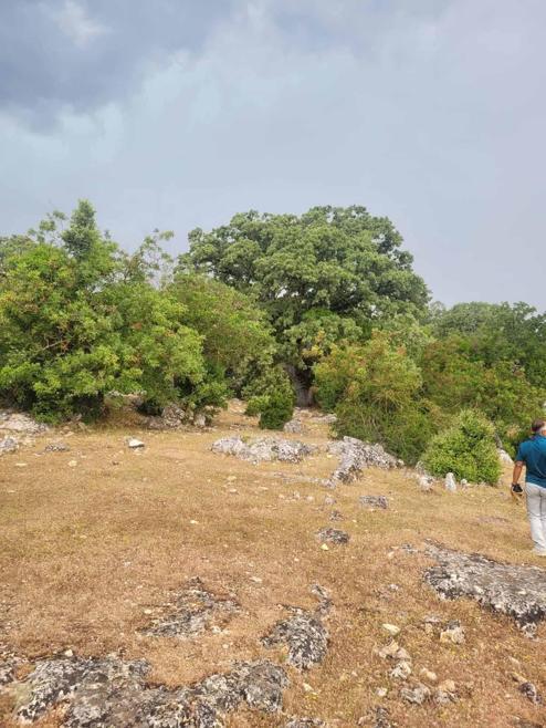 Kaştaki mermer ocağı davasına bilirkişi keşfi