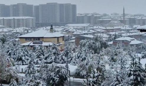 Erzurumda kar yağdı