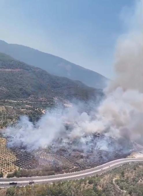 Muğlada tarım arazisinde yangın