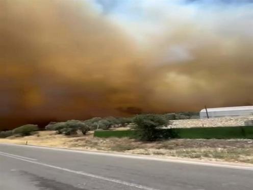 İzmirde çıkan orman yangını kontrol altında; 4 gözaltı