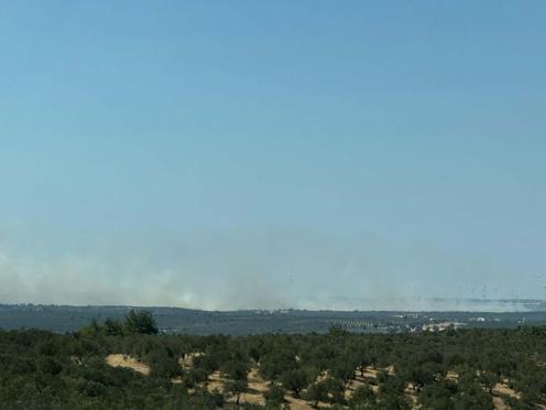 Çanakkaledeki tarım arazisinde çıkan yangın kontrol altında