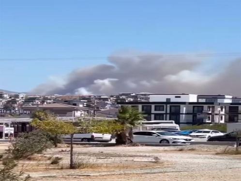 İzmirde orman yangını kontrol altında