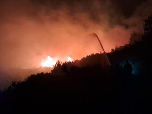 Antalyada orman yangını