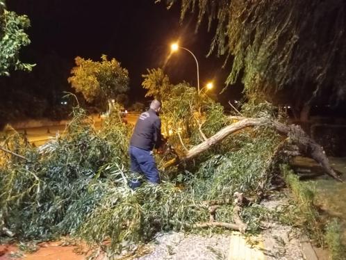 Bursada lodos etkili oldu; ağaçlar devrildi, çatılar uçtu