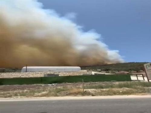 İzmirde çıkan orman yangını kontrol altında; 4 gözaltı