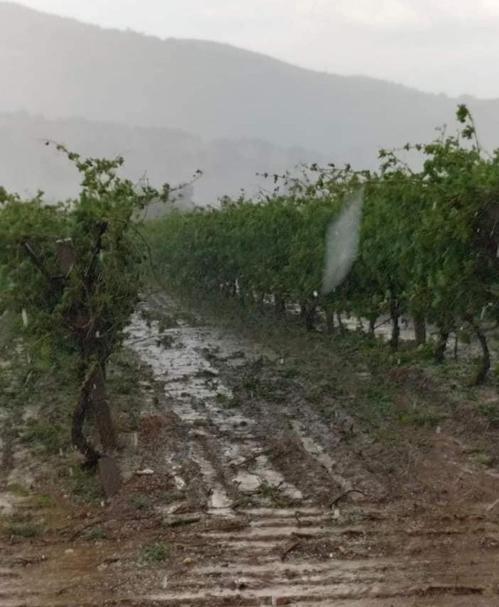 Salihlide sağanak ve dolu; mevsimlik işçiler düğün salonuna yerleştirildi