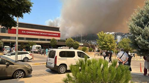 Çanakkalede orman yangını