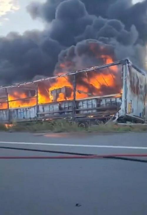 Yanan TIRın şoförü 3 promil alkollü çıktı