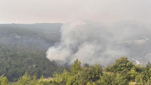 Mersinin 2 ilçesindeki orman yangınları kontrol altına alındı