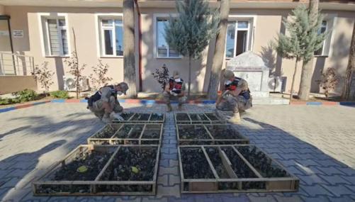 Traktörün römorkunda 2 bin 114 saka ele geçirildi; sürücüye 19,8 milyon TL ceza kesildi
