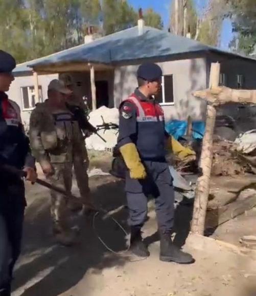 Van’da evde tutulan kurt kurtarıldı