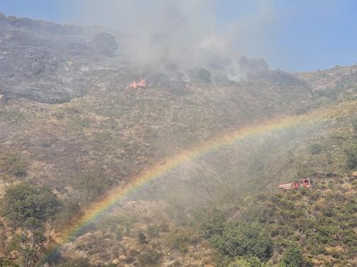 Marmara Adasındaki orman yangını söndürüldü