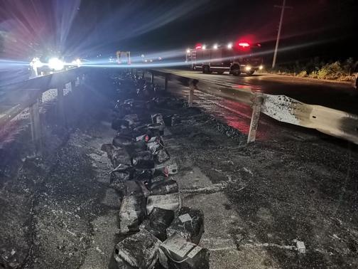 Samsun’da seyir halindeki TIR’da çıkıp, ağaçlara sıçrayan yangın kontrol altında