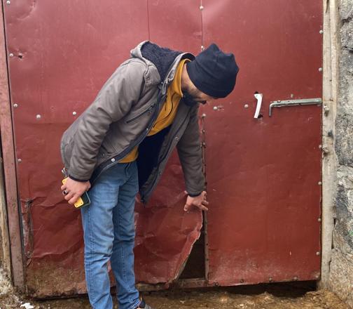 Sisli havada köye inen kurt, ağıldaki 200 koyunu öldürdü