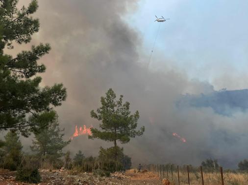 Muğlada orman yangını