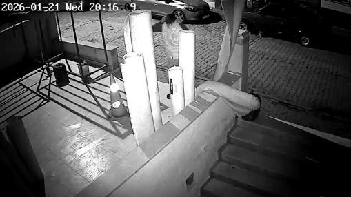 Avcılarda halı hırsızlığı kamerada