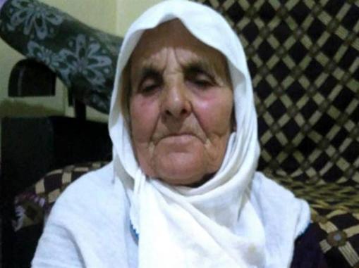 Saldırdıkları kadını öldüren köpeklerin sahibine 4 yıl 5 ay hapis