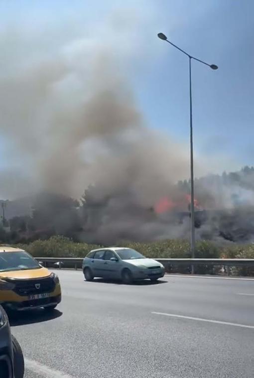 İzmirde otomobilde çıkan yangın, makilik alana sıçradı