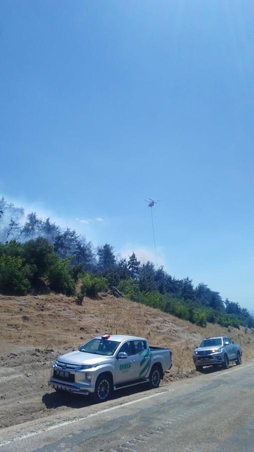 Balıkesirde orman yangını