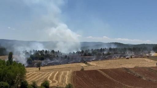 Kastamonuda anız yangını ormana sıçradı; 10 hektar alan zarar gördü