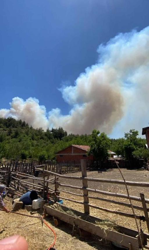 Sakaryadaki orman yangını 2nci gününde