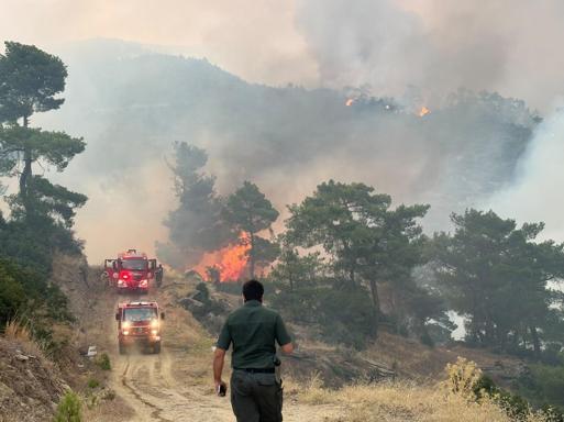Aydındaki orman yangınına havadan müdahale yeniden başladı
