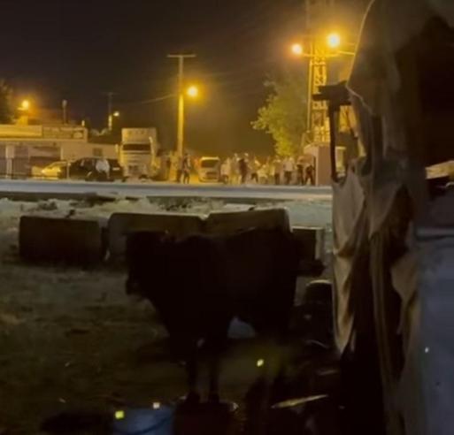 İki aile arasındaki kavgayı ayırmaya çalışırken öldü