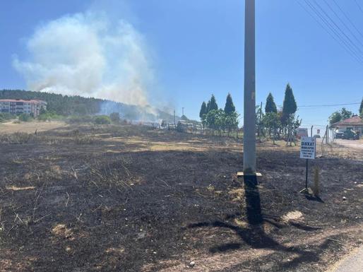 Sakarya Orman İşletme Müdürlüğünün deposunda yangın; ormana da sıçradı
