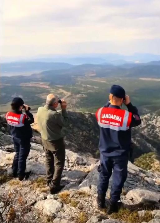 Üreme dönemindeki yaban keçileri, termal kameralı dronla izleniyor