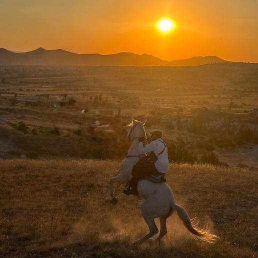 Atla elektrik direğine çarptı; hayatını kaybetti
