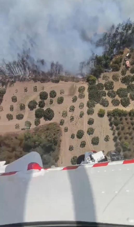 Bursa’da çıkan orman yangını kontrol altında