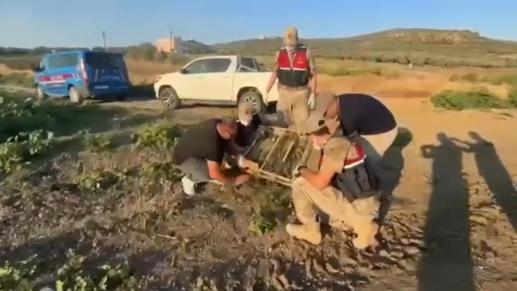 Traktörün römorkunda 2 bin 114 saka ele geçirildi; sürücüye 19,8 milyon TL ceza kesildi