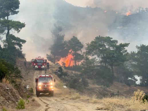 Aydındaki orman yangınına havadan müdahale yeniden başladı