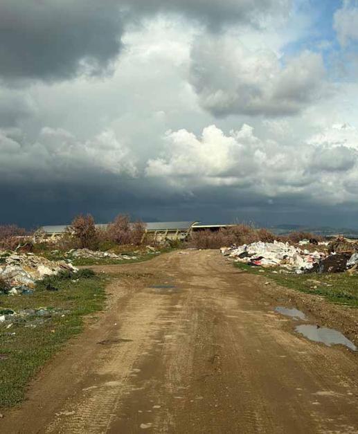 Kuş cenneti çöplüğe döndü
