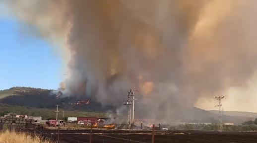 İzmirde çıkan orman yangını kontrol altında