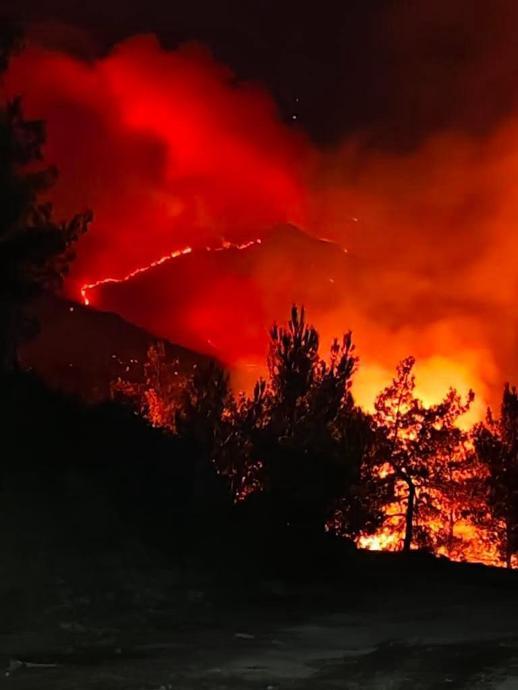 Sakaryada orman yangını 2nci gününde